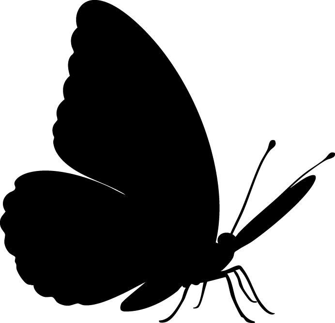 Image representing Icon